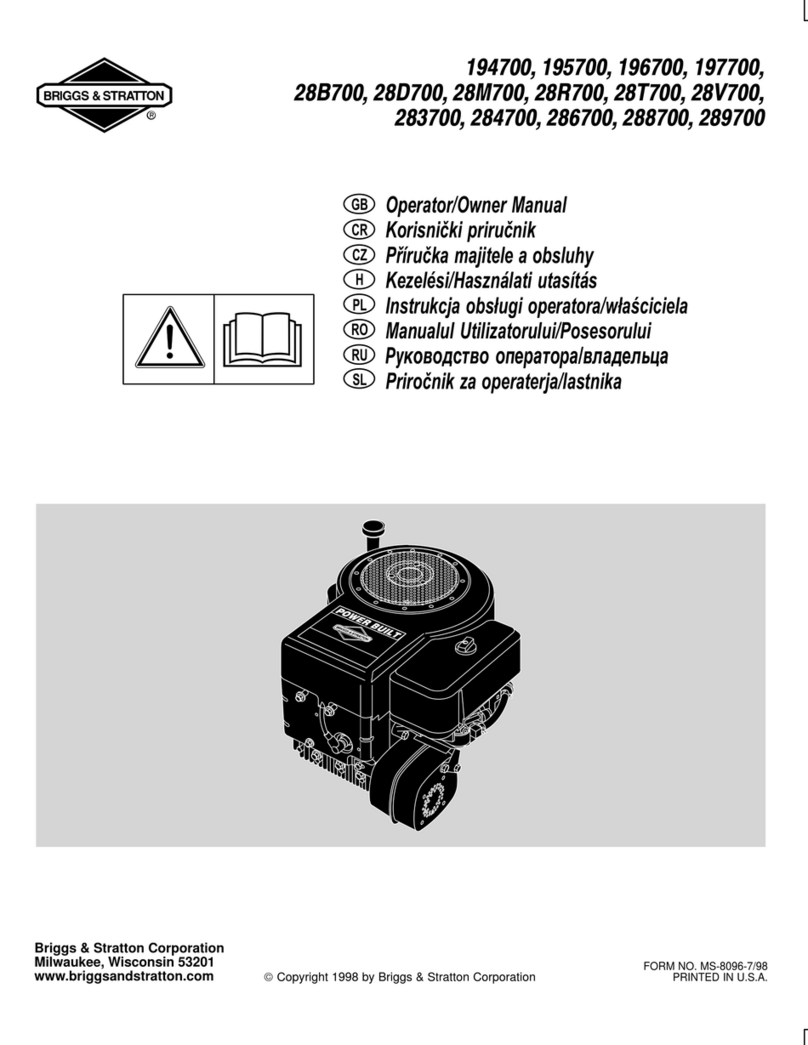 Briggs & Stratton 194700 Series Installation instructions