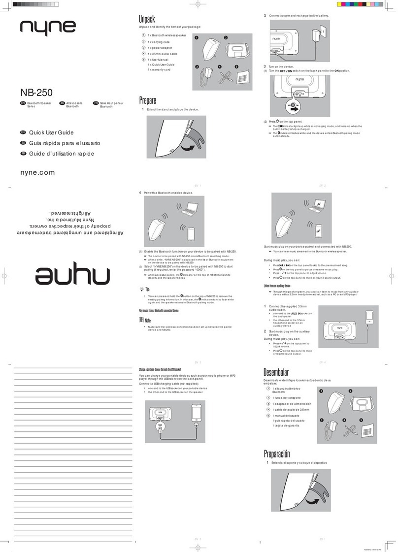 Nyne NB-250 Quick user guide