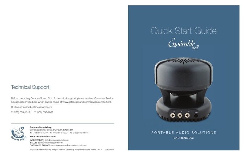 Cetacea Sound CART-ENS-903 User manual