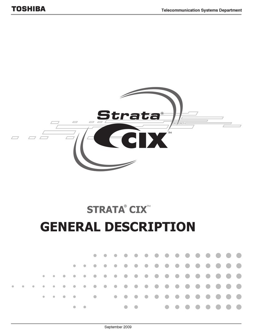 Strata CIX100 General description