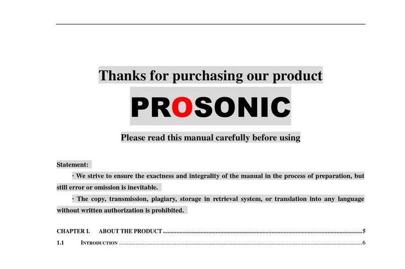 Prosonic DVR user manual