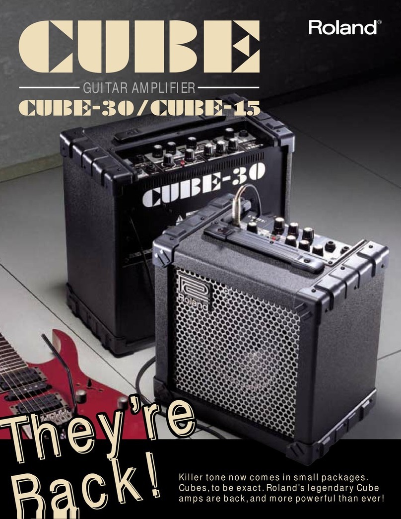 Roland CUBE-30 User manual