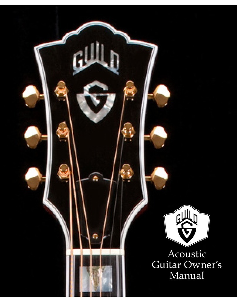 Guild 2014 Acoustic Guitar User manual