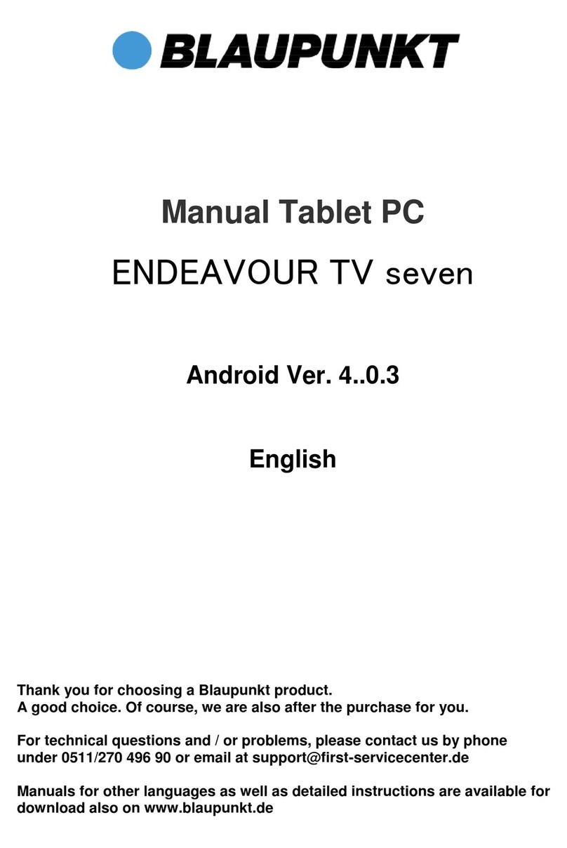 Blaupunkt ENDEAVOUR TV seven manual