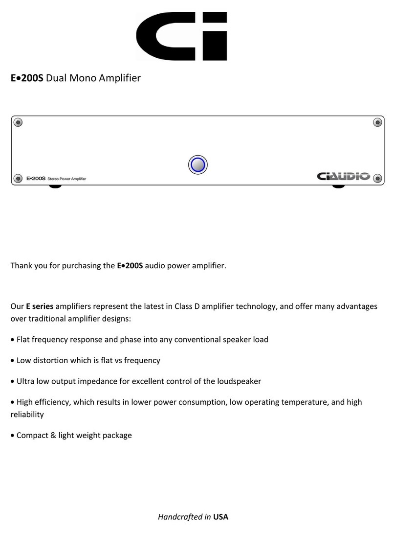 Channel Islands Audio E 200S user guide