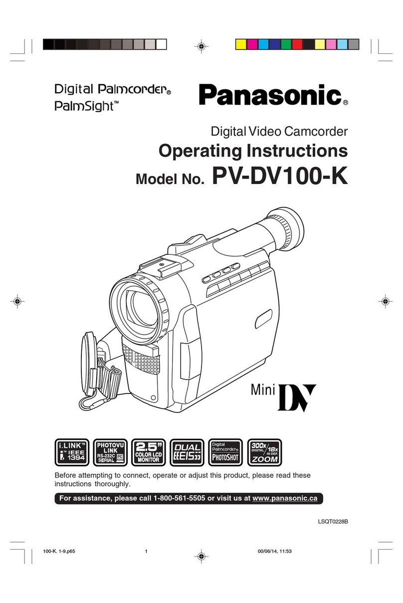 Panasonic Digital Palmcorder PalmSight PV-DV100-K User manual