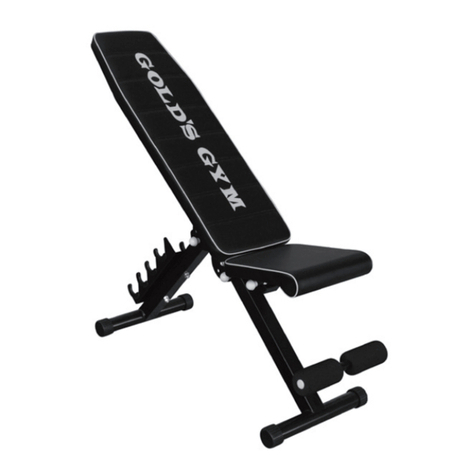 Gold's Gym G4510 user manual