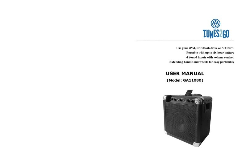 TUNES2GO GA11080 user manual