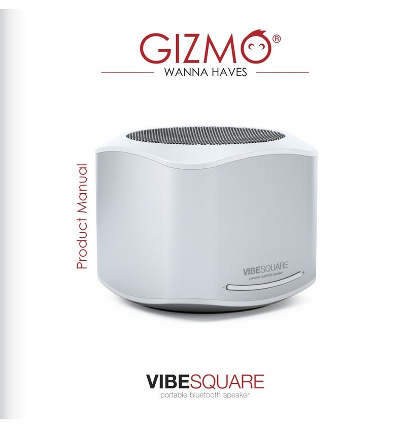 Gizmo VIBESQUARE User manual