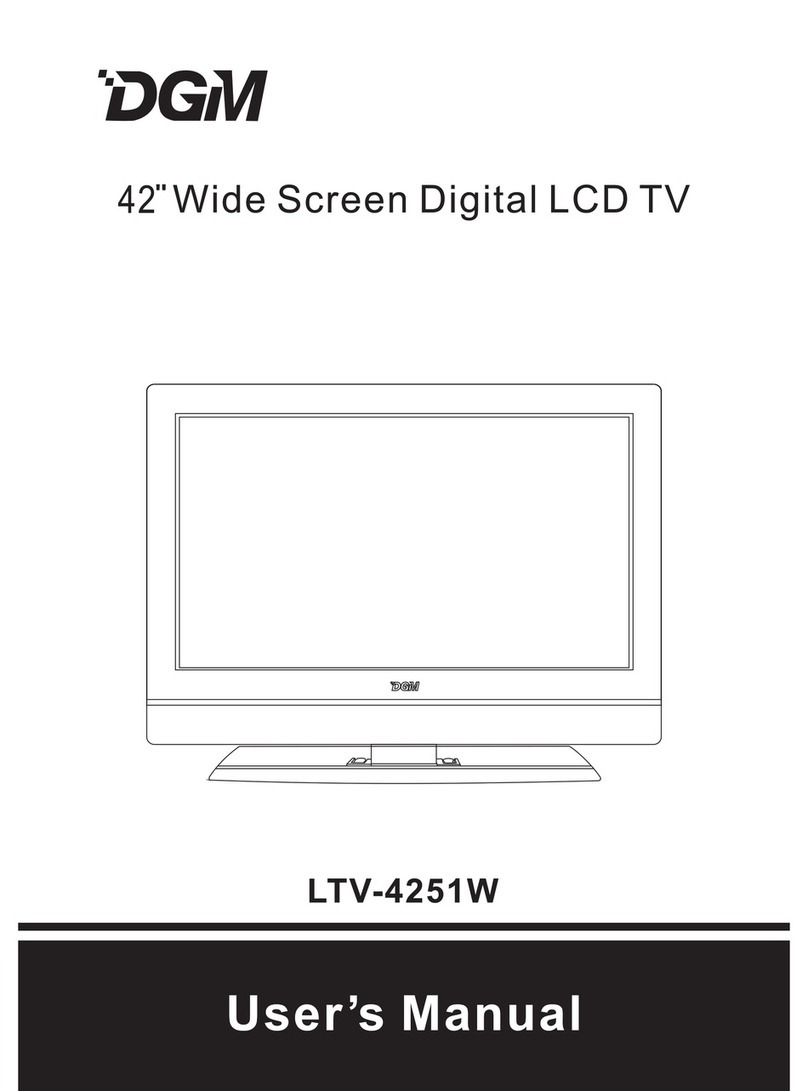 DGM LTV-4251W User manual