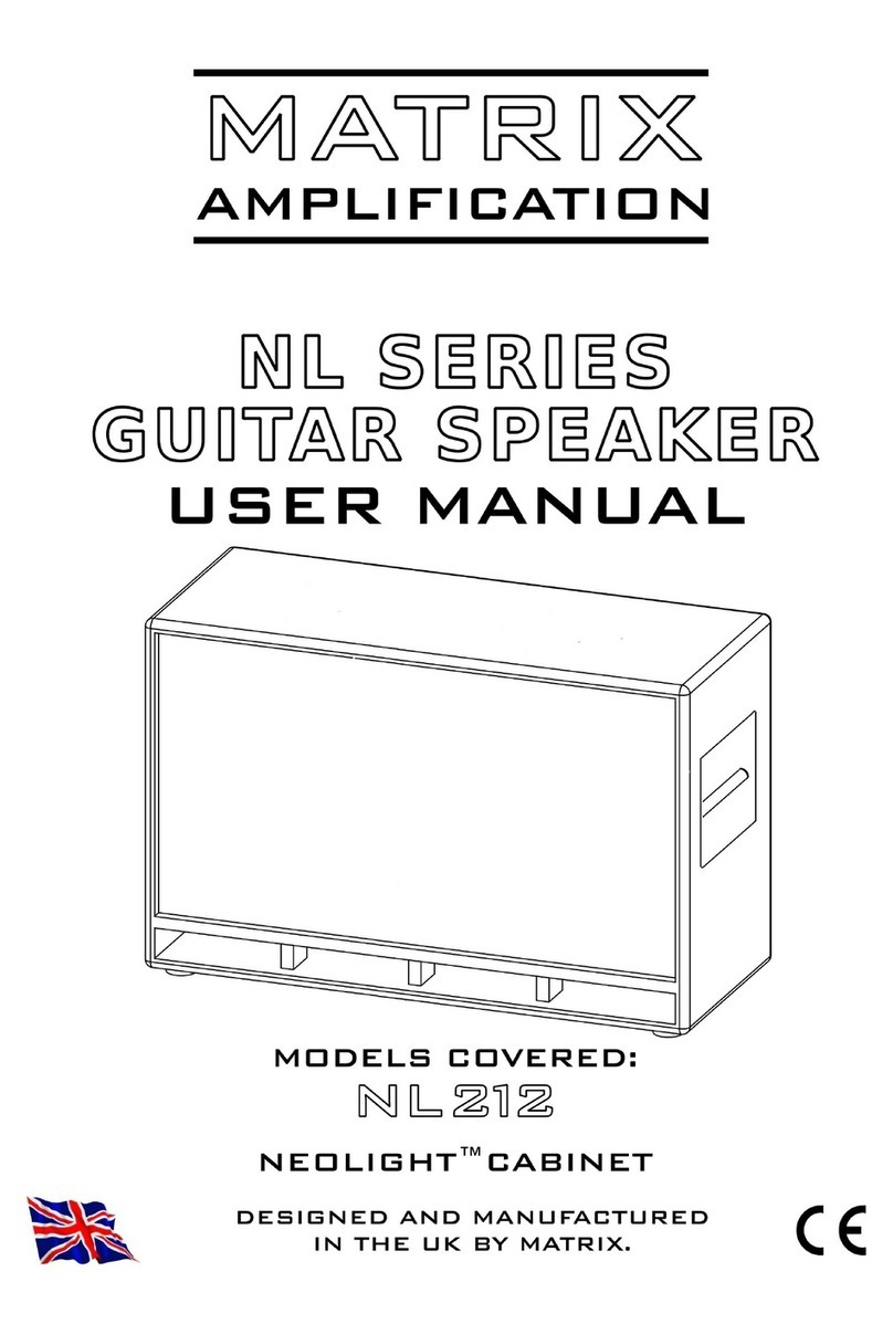 Matrix Amplification NeoLight NL212 user manual