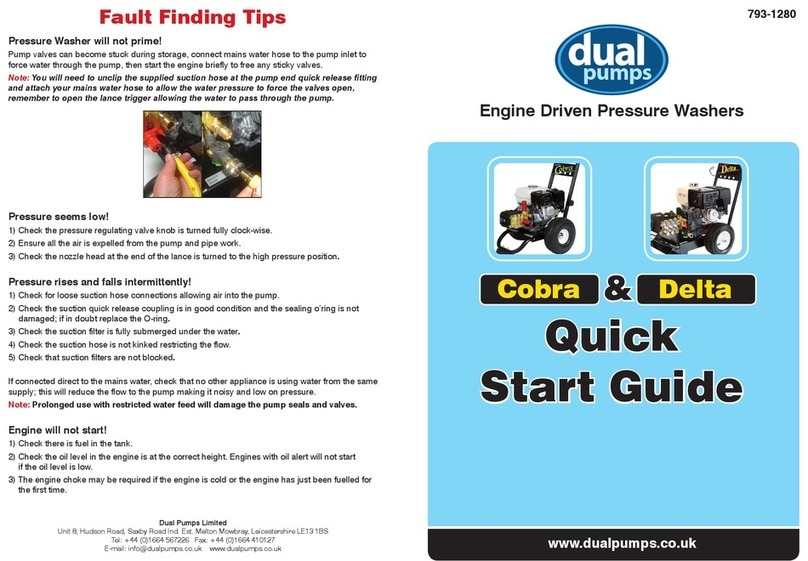Dual Pumps Cobra quick start guide