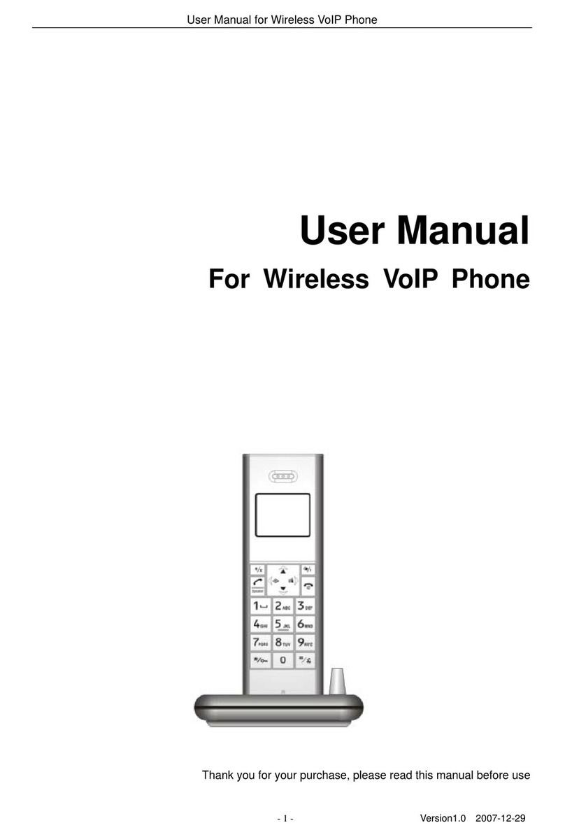 BeyondTel WP-01 user manual