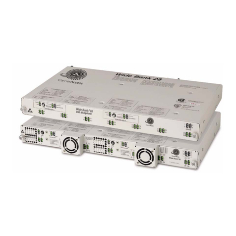 Carrier Access Wide Bank 28 DS3 overview