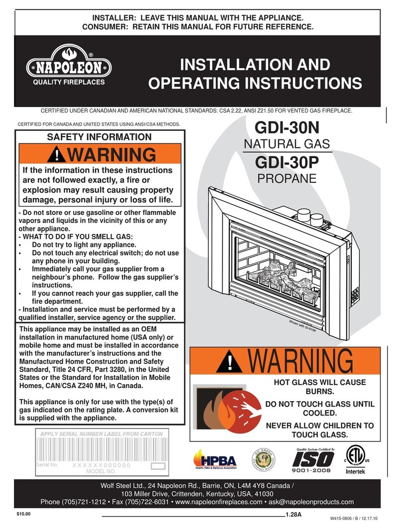 Napoleon GDI-30N Installation and operating instructions