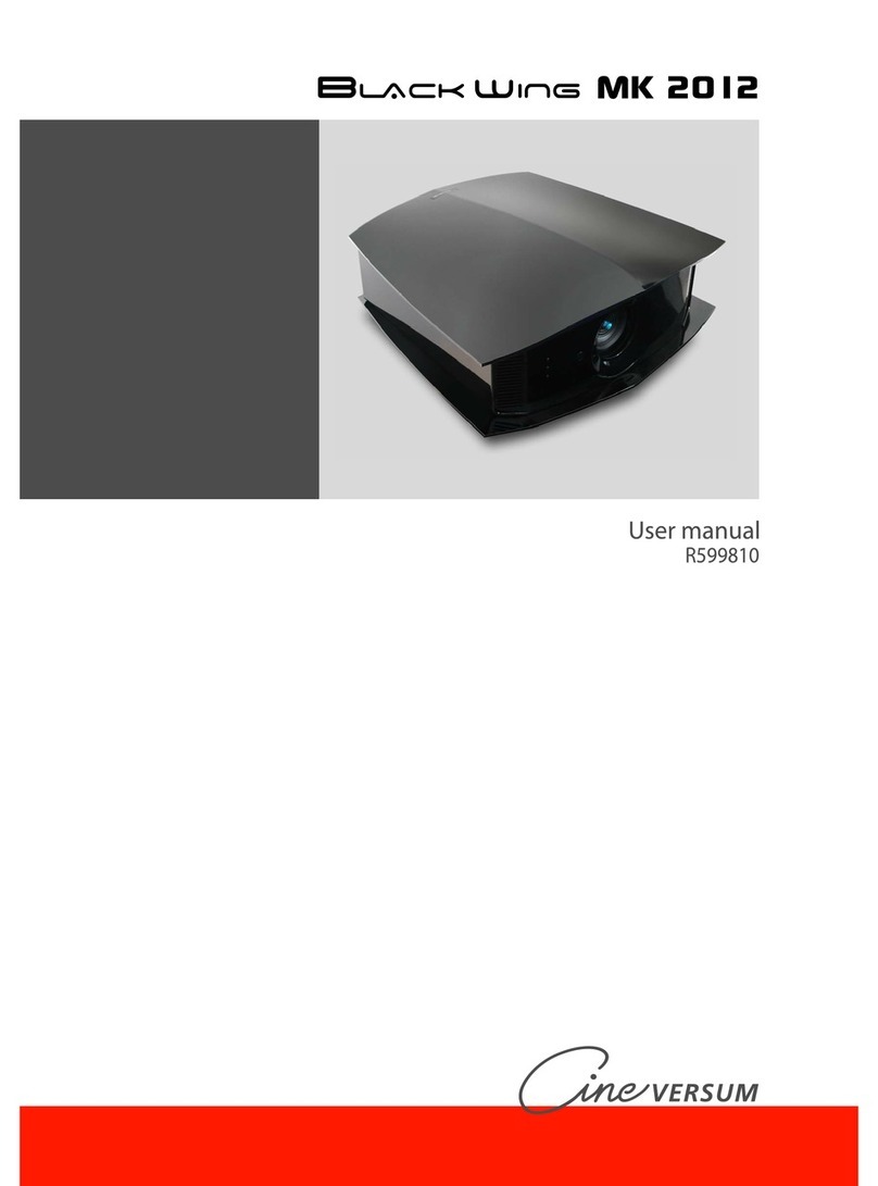 Cineversum Black Wings MK 2012 User manual
