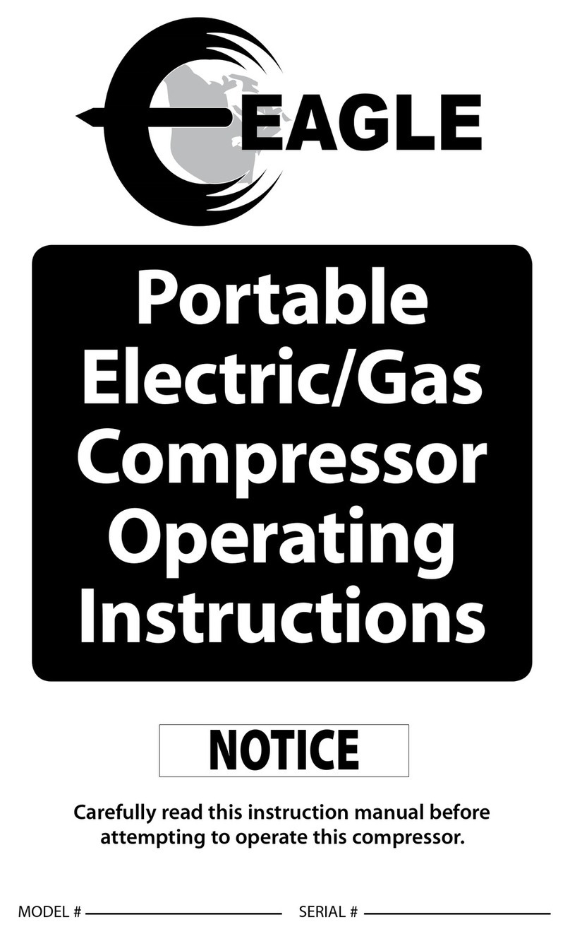 Eagle Portable Electric/Gas Compressor User manual