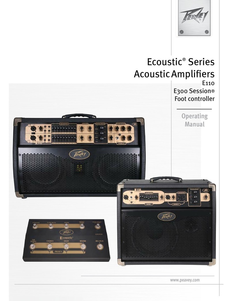 Peavey E110 operating manual