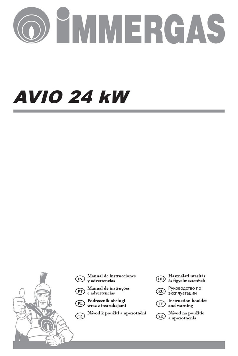 Immergas Avio 24 Kw instruction manual