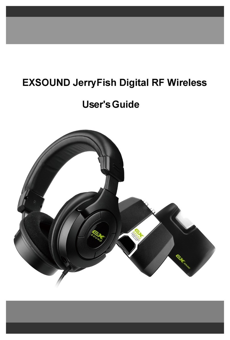 Exsound JerryFish Digital RF Wireless user guide