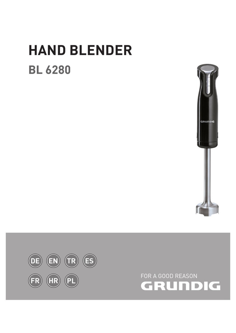 Grundig BL 6280 Series Manuel utilisateur