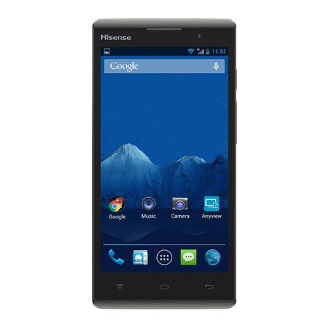 Hisense L691 User manual