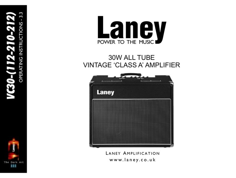 Laney VC30 User manual