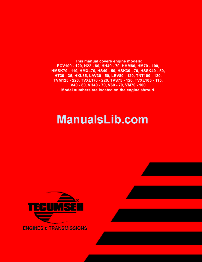 Tecumseh ECV100 manual