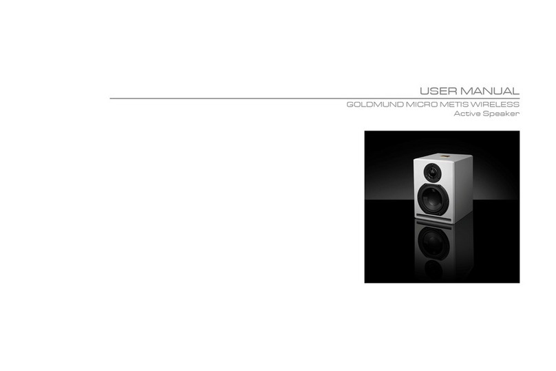 Goldmund Micro Metis Active Wireless user manual