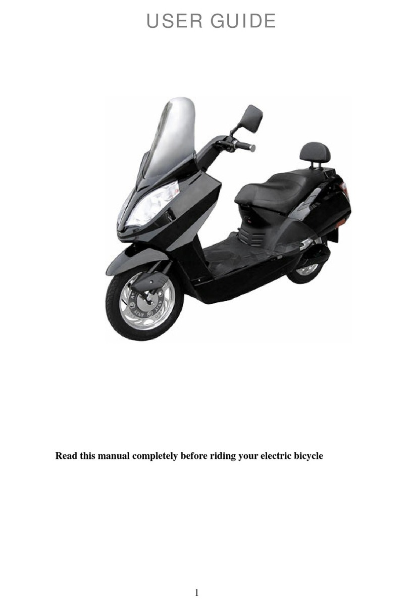 EMMO The X User manual