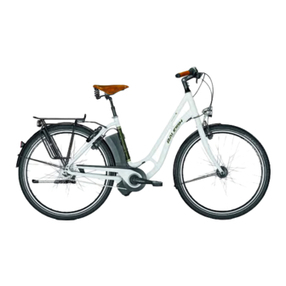 Raleigh ebike user manual