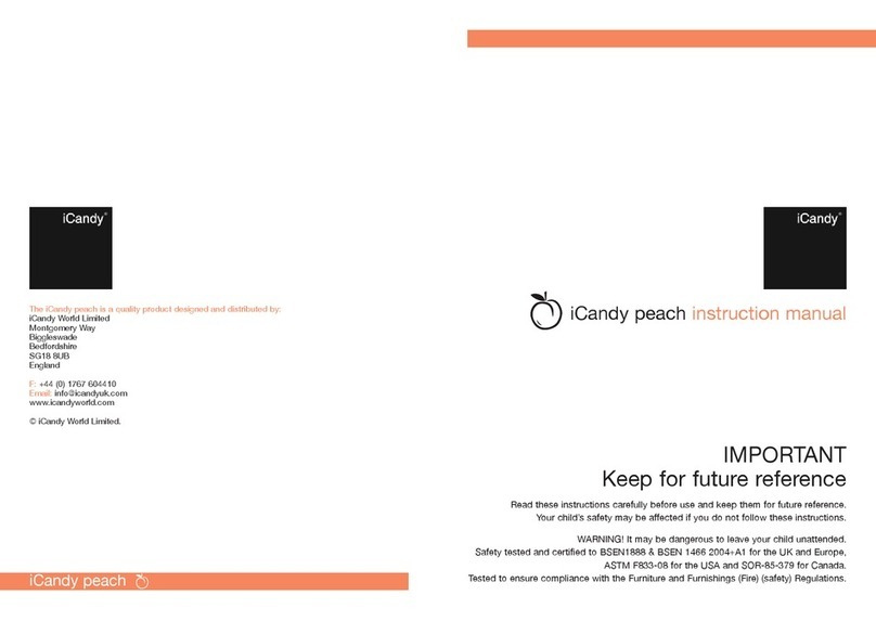 iCandy peach User manual