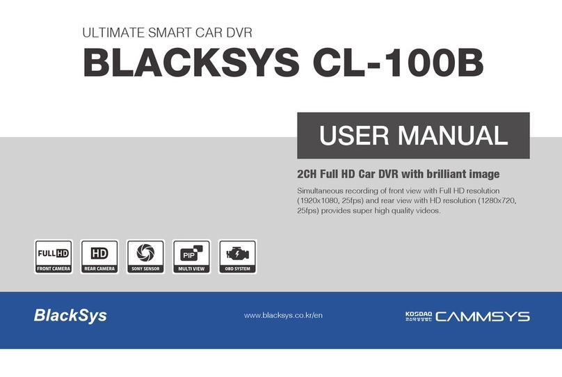 BlackSys CL-100B user manual