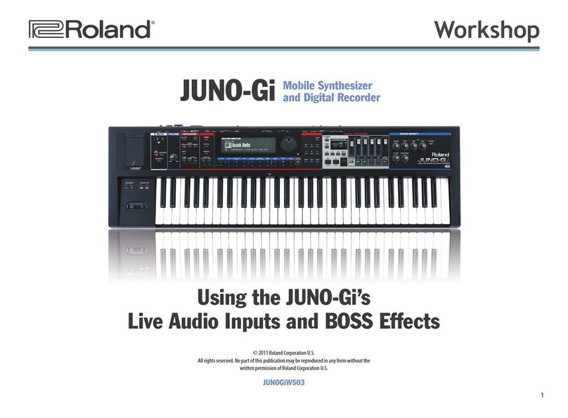 Roland JUNO-Gi Instruction manual