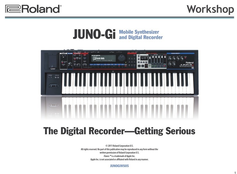 Roland JUNO-Gi Instruction manual