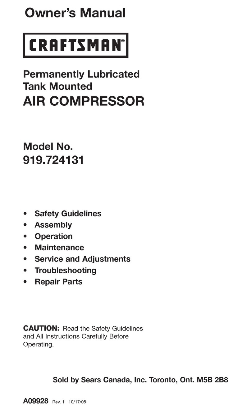 Craftsman 919.724131 User manual