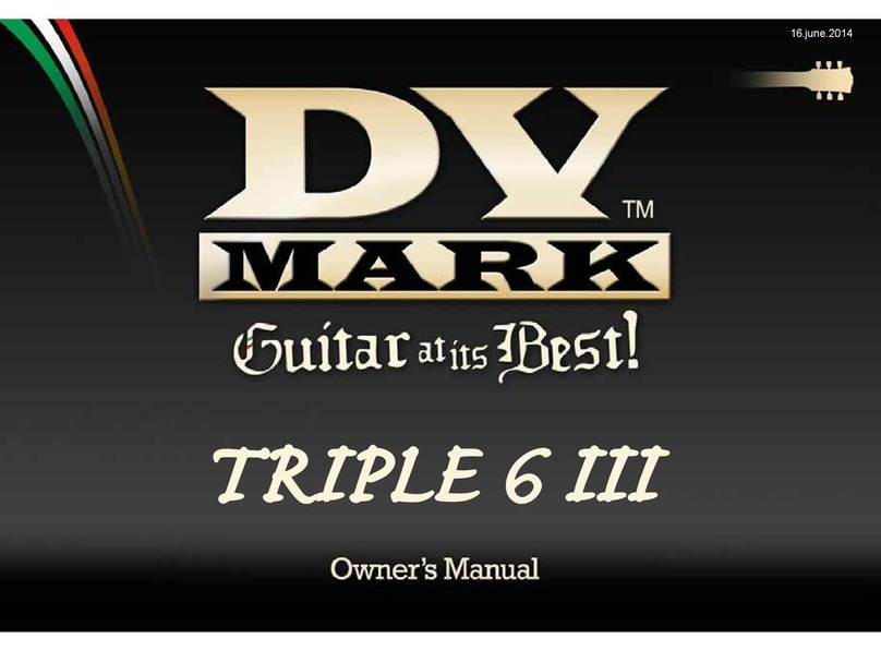 DV Mark Triple 6 III owner's manual