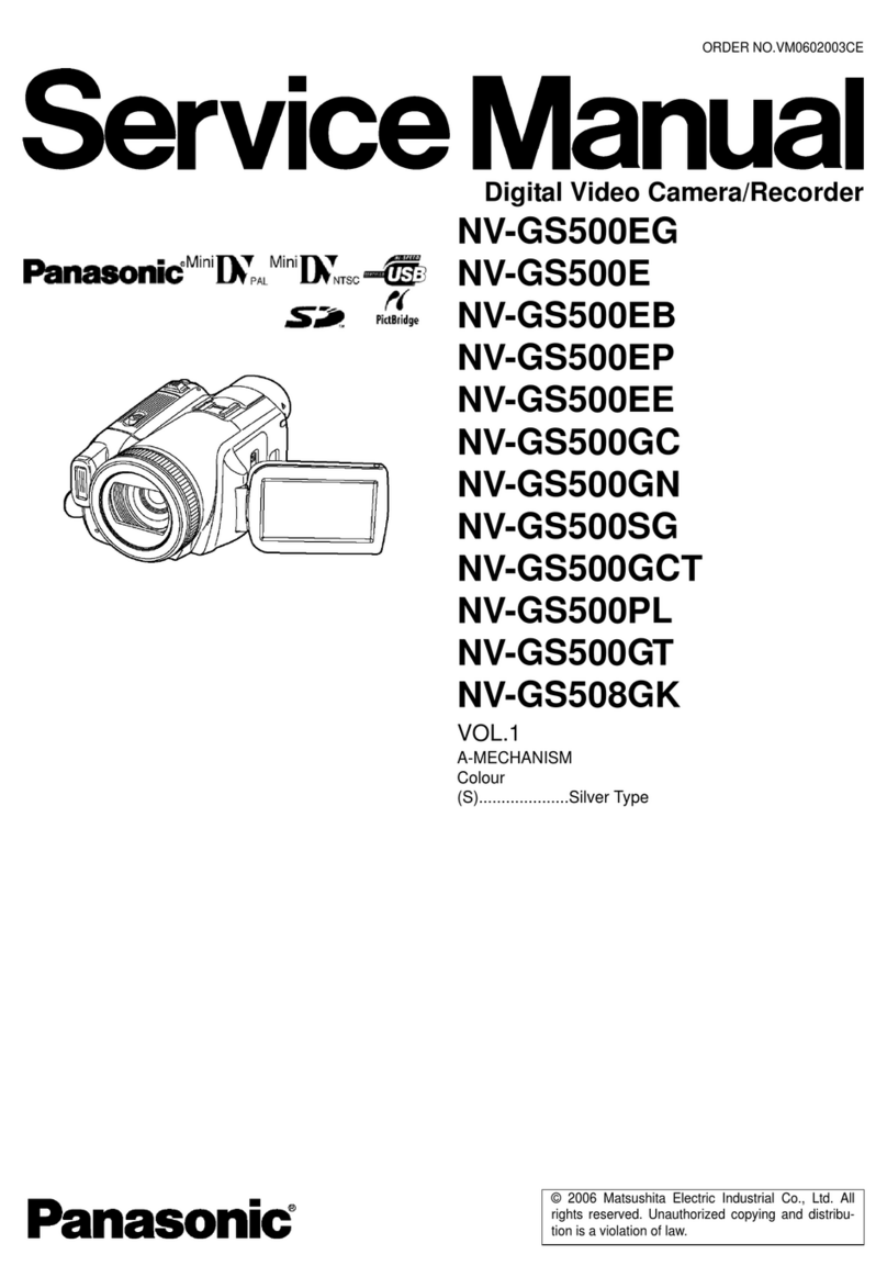 Panasonic NV-GS500EG User manual