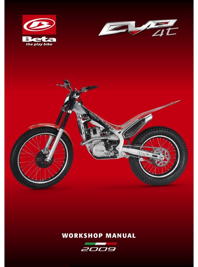 Betamotor EVO 4t Workshop manual