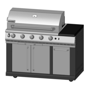 Perfect Flame PFISLP User manual