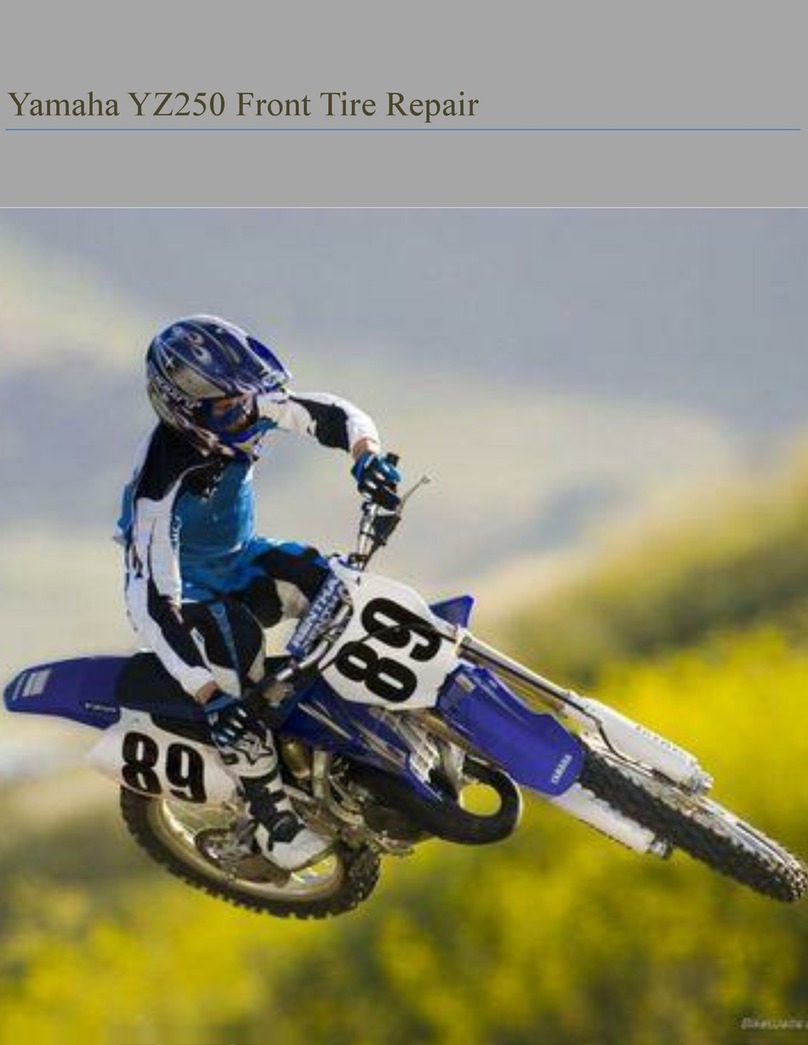 Yamaha YZ250 2001 Repair