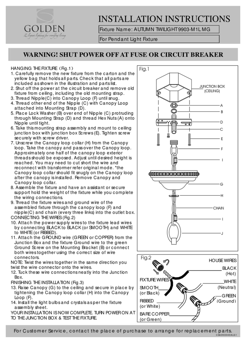 Golden AUTUMN TWILIGHT 9903-M1L MG User manual