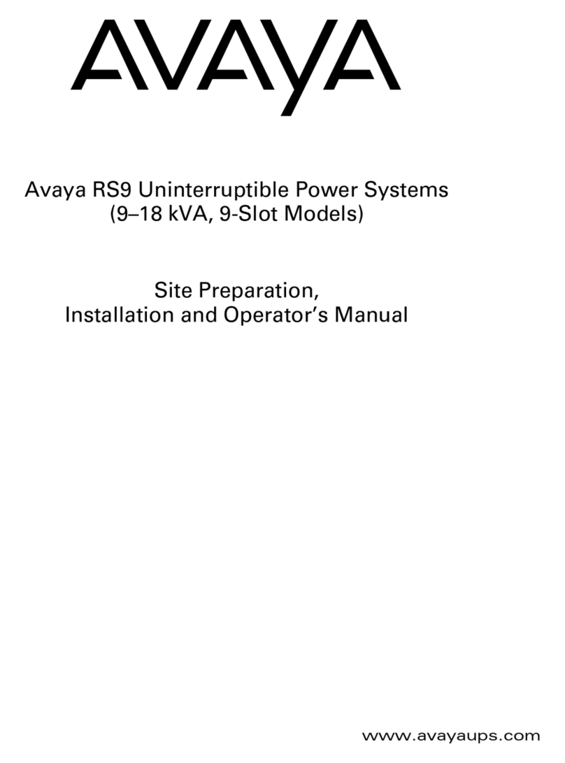 Avaya RS9 Setup guide