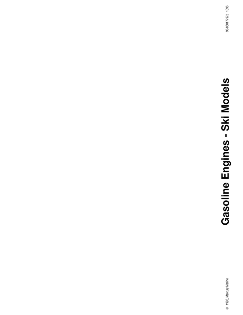 Mercury SKI User manual
