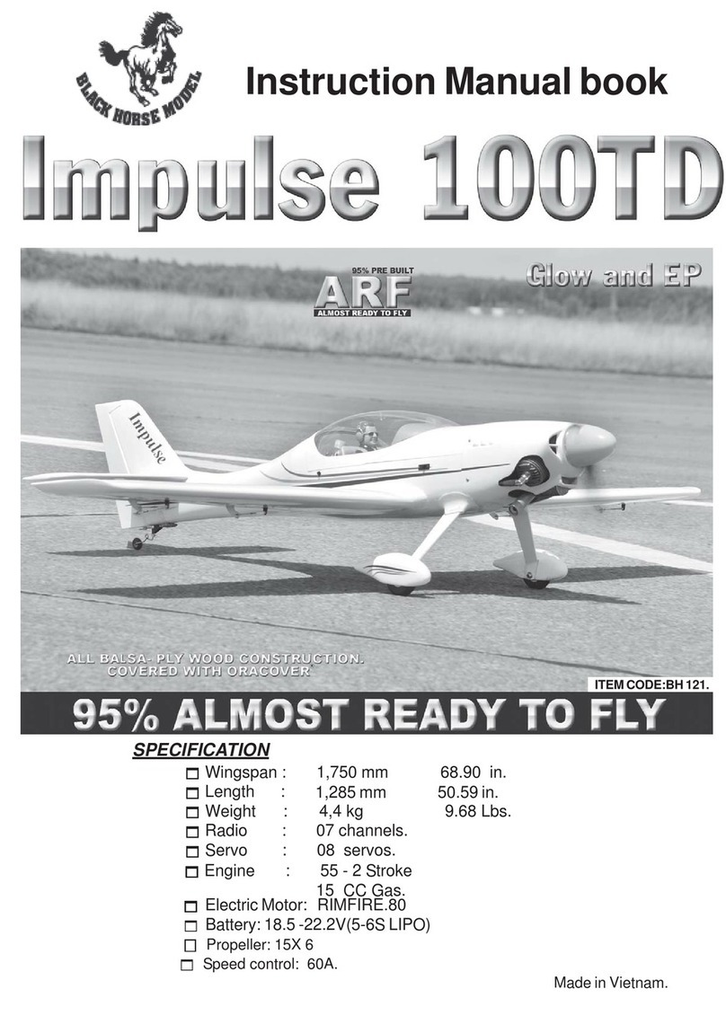 Black Horse Model Impulse 100TD Instruction manual book