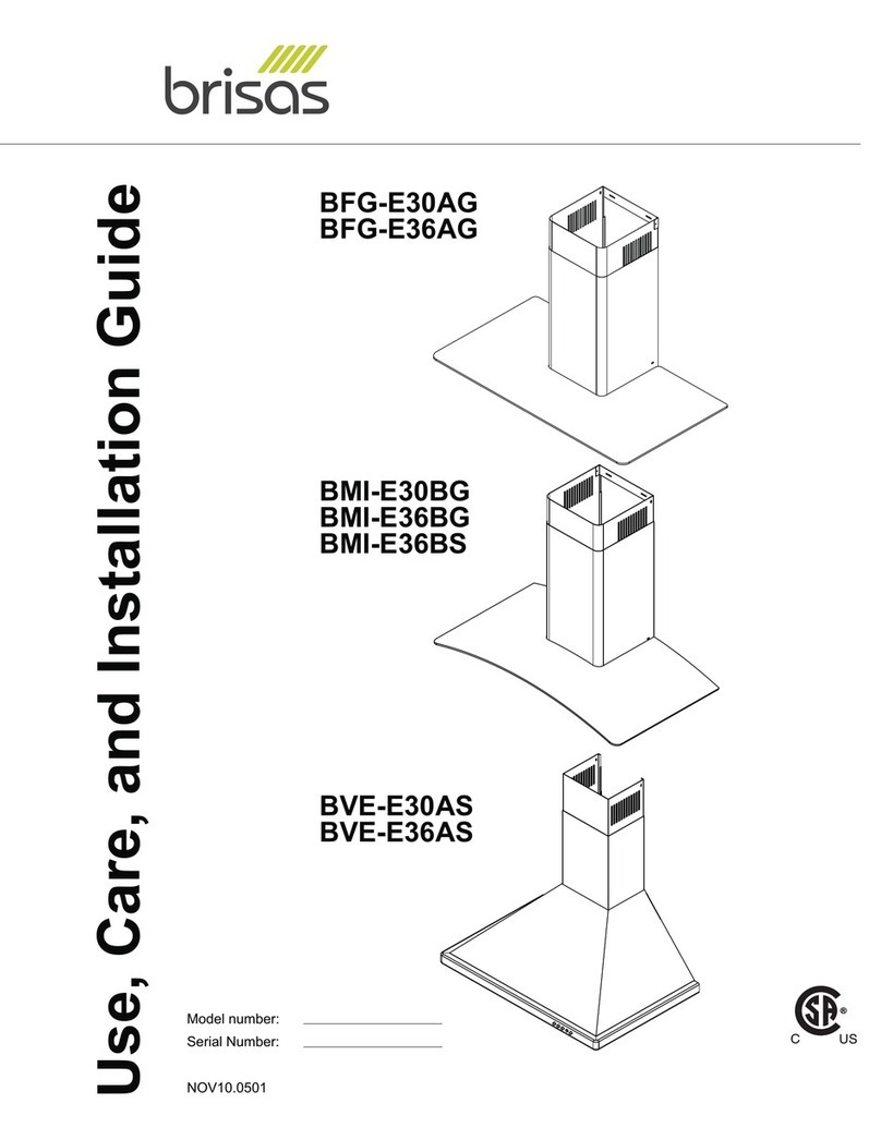 Brisas BFG-E30AG User manual