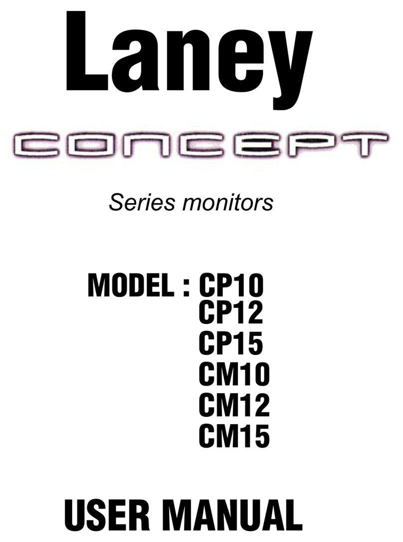Laney CP10 User manual