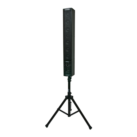 Fishman SoloAmp User manual