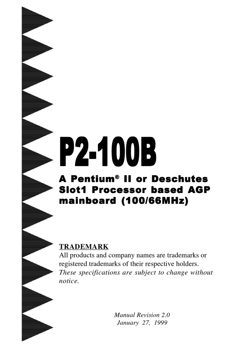 EPOX P2-100B manual