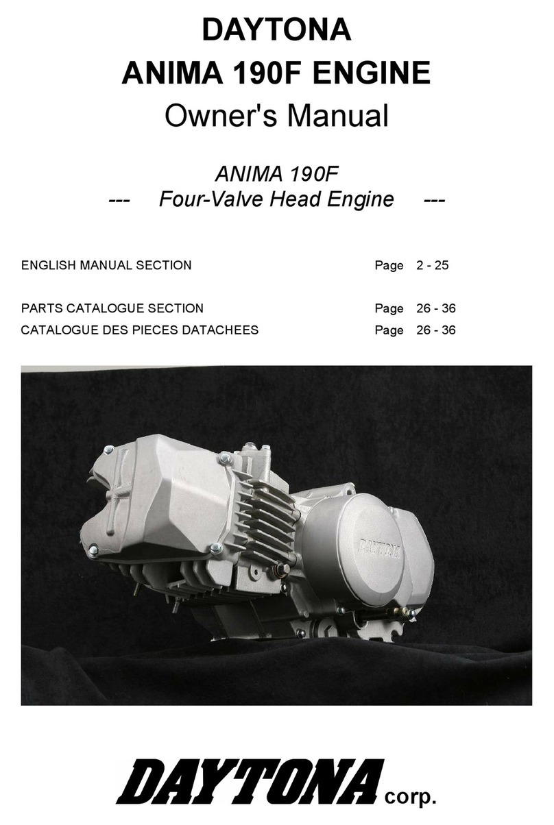 Daytona Anima 190F owner's manual